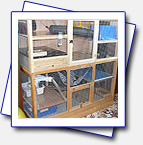 New ferret cage