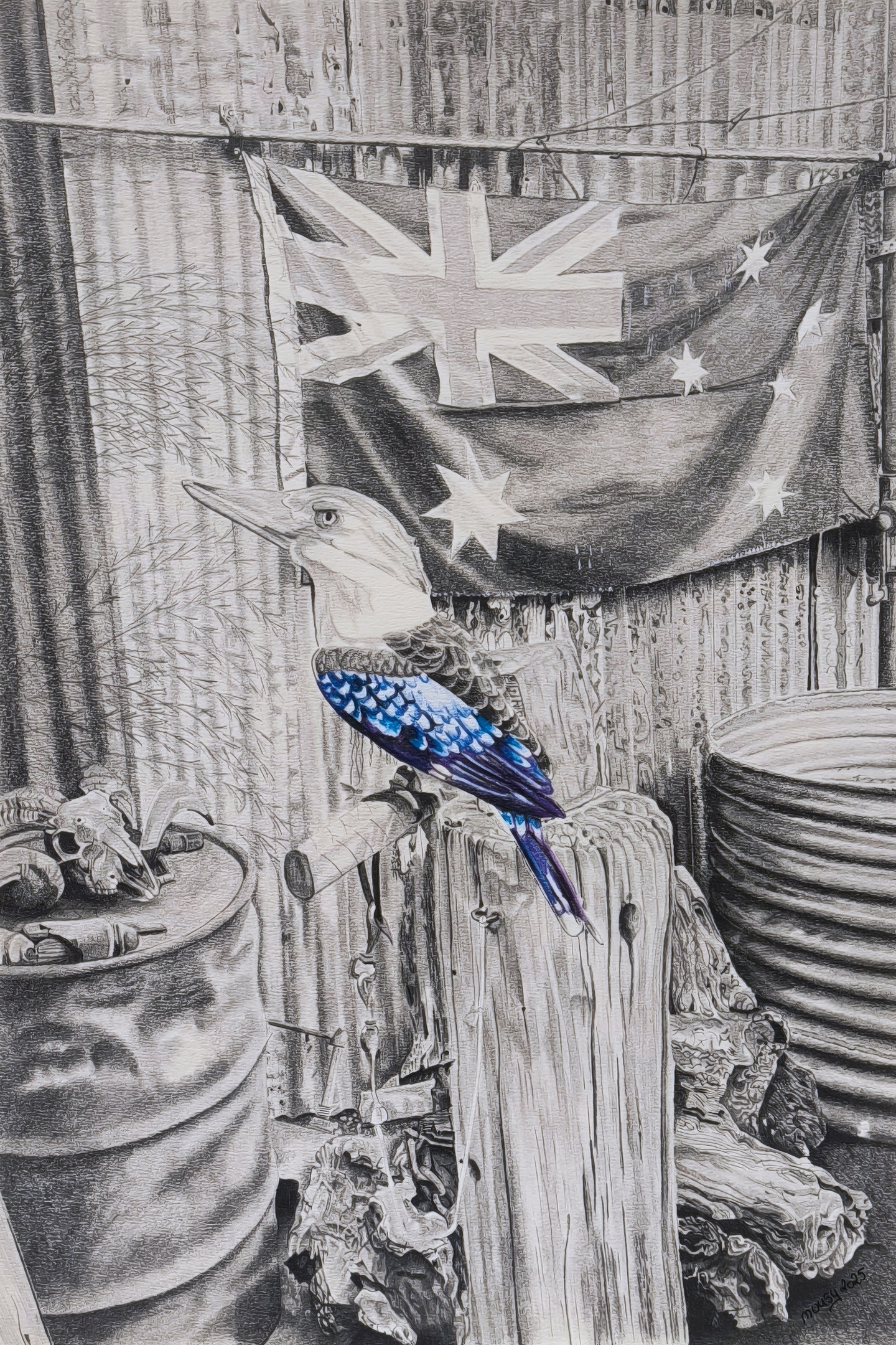 Kookaburra, format A3