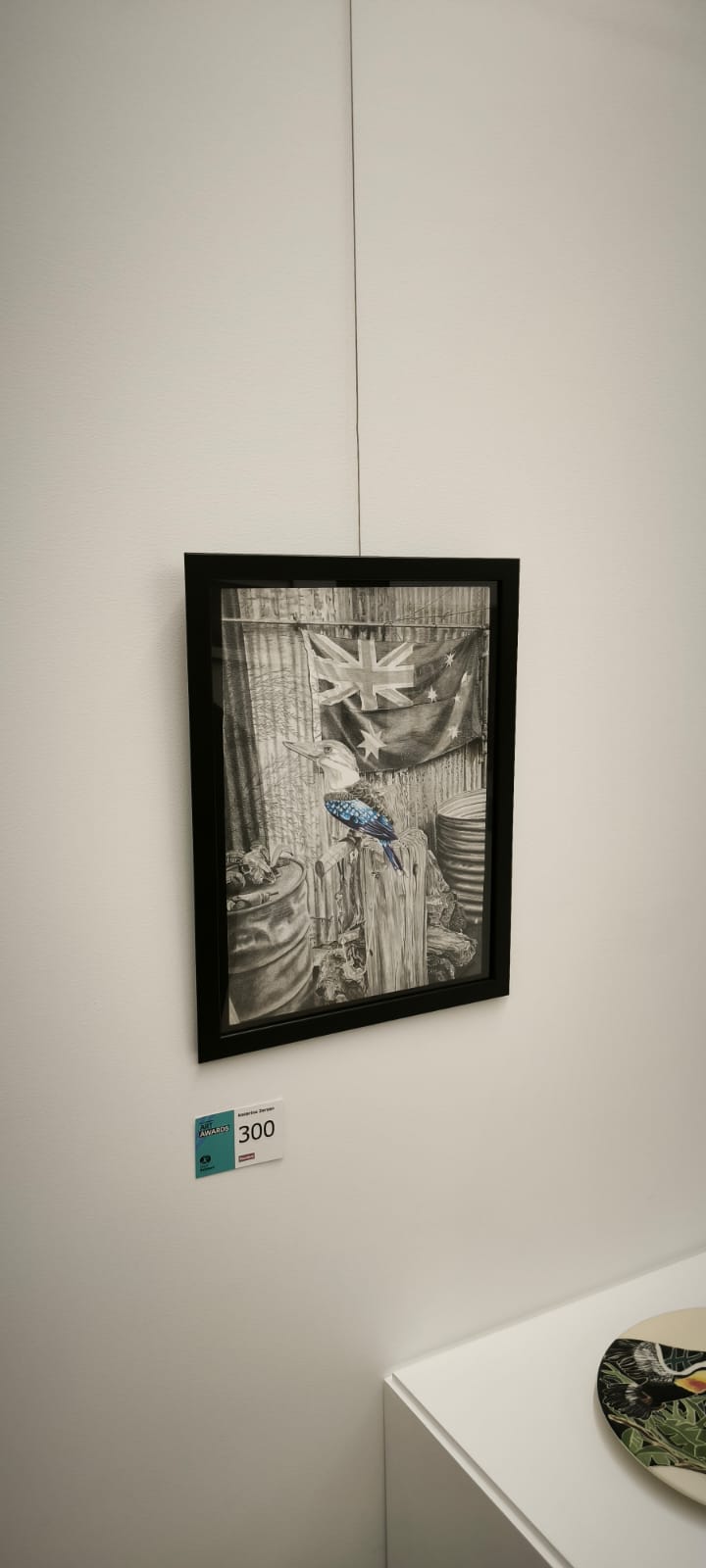 Kookaburra, format A3